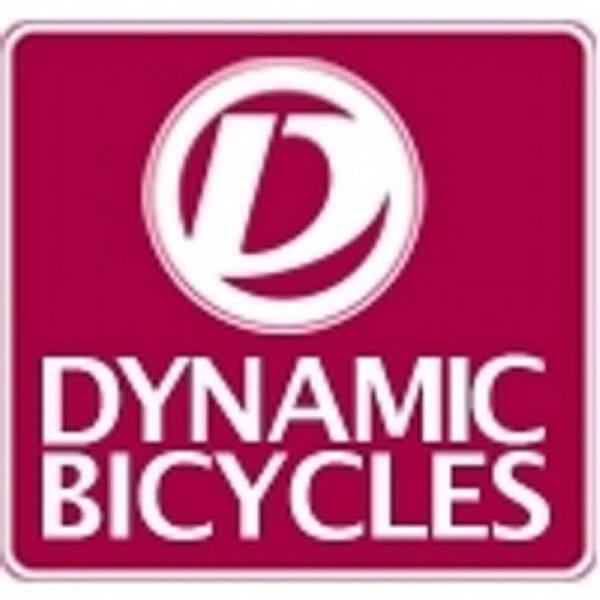 Dynamische fietsen