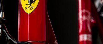 De Ferrari-fiets - types, voor- en nadelen