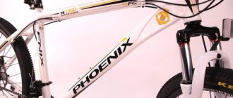 Phoenix fiets - voor- en nadelen, selectietips