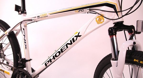 Phoenix fiets - voor- en nadelen, selectietips