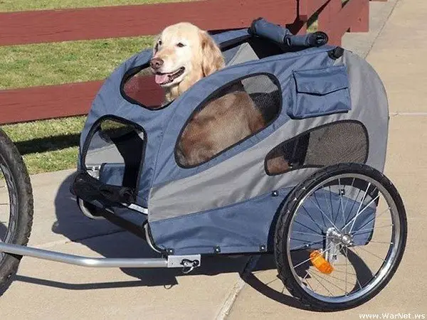 fietskar voor de hond