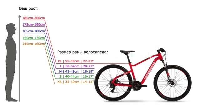 de grootte van het fietsframe naar hoogte